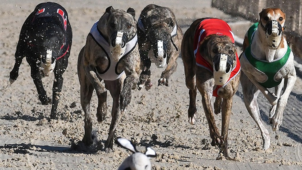 Entain and Arena Racing Sign  Media Rights and Distribution Deal for Horse and Greyhound Racing