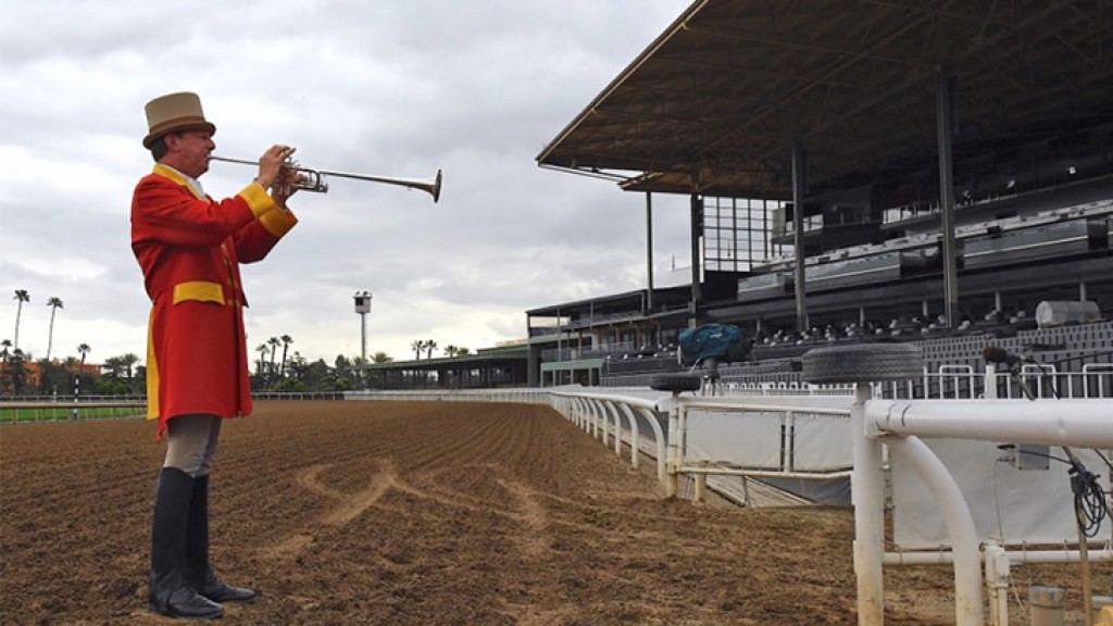 Florida House committee amends gambling bill to preserve standardbred horse business