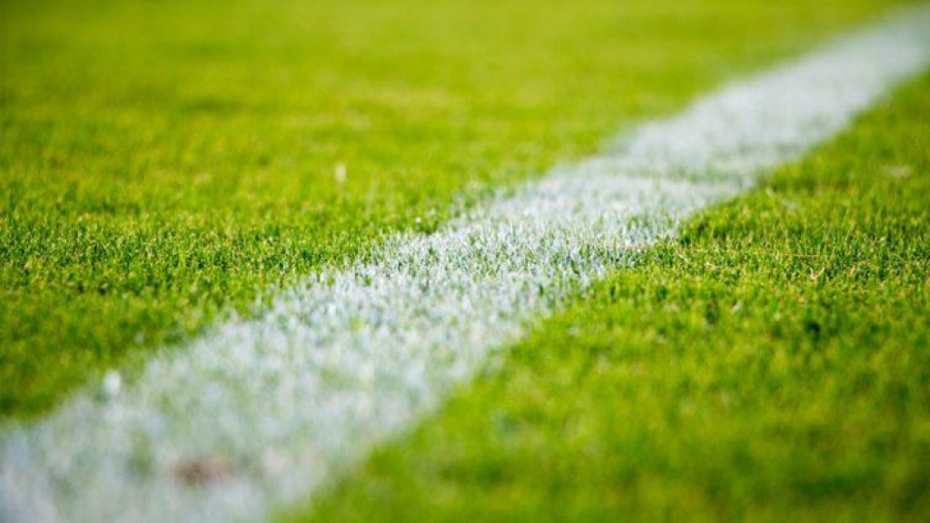 Super Bowl LIV Wagering Estimates