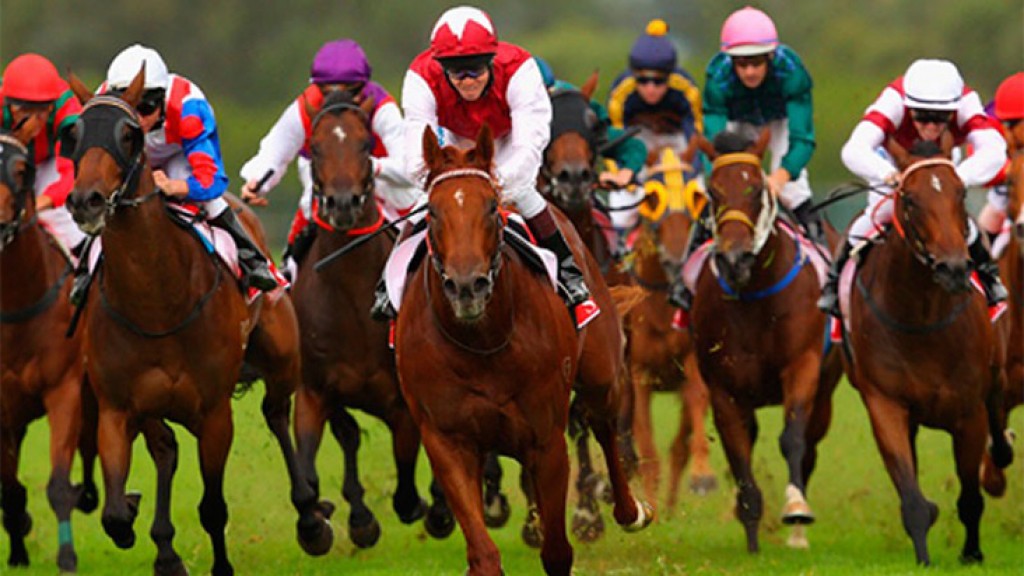 New Jersey governor signs bill enabling fixed-odds wagering on horse races