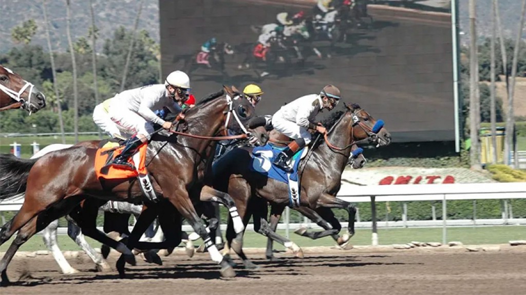 California Sports Betting Initiative Backed by Gambling Giants Would Block Startups