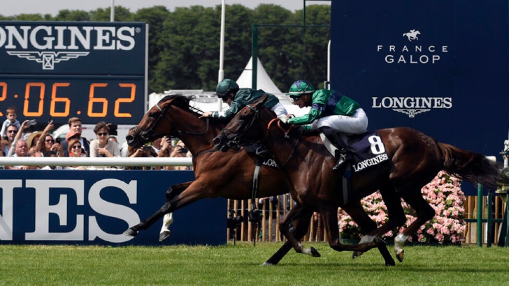 Puerto Rico: Horse breeders seek to revive their industry