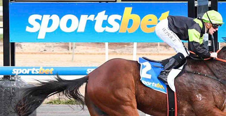 Specialist gambling lawyer warns blanket ban on sports betting ads will drive more Australians to illegal offshore operators