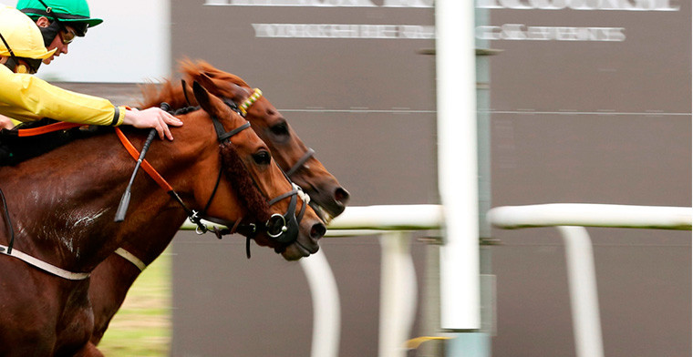 Bookmakers prepare for spike in value of horse racing streaming rights