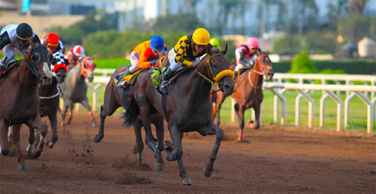 Hípica peruana en alza: apuestas crecen 4,69% en el primer trimestre de 2025