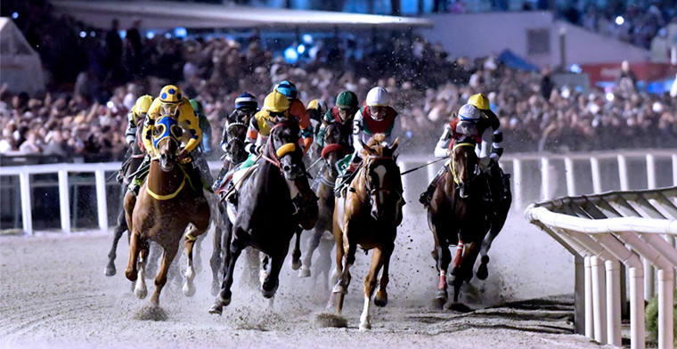 Actividad Hípica en Uruguay: Indicadores Clave de 2018 a Junio de 2025