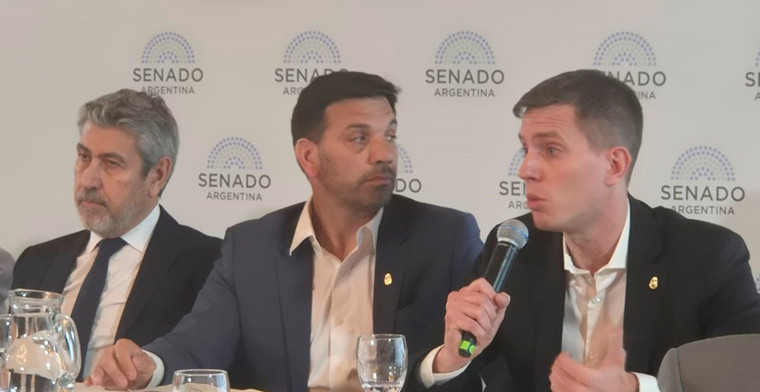 Debate en el Senado sobre apuestas en el fútbol: la AFA advirtió por el impacto en los clubes