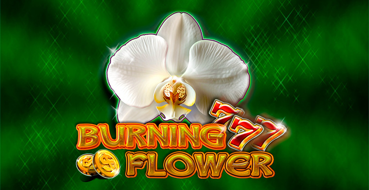 CT Interactive acende o jogo com Burning Flower: Um slot vibrante, cheio de energia e grandes prêmios