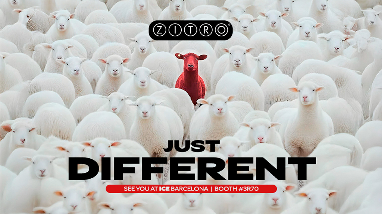 “Just Different”: Zitro llega a ICE Barcelona 2026 con una propuesta que rompe todos los moldes