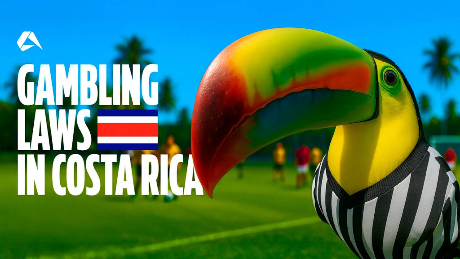 Gambling Laws and Regulations in Costa Rica: A Complete Guide by Altenar