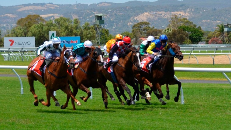 South African Horse Racing Struggles for Relevance as Betting Market Tilts Toward Digital Play
