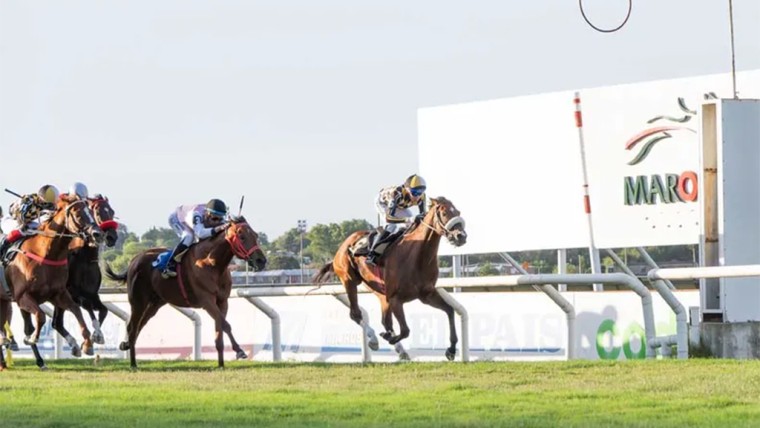 Uruguay: Apuestas hípicas superan los US$ 8,7 millones en el primer trimestre de 2026
