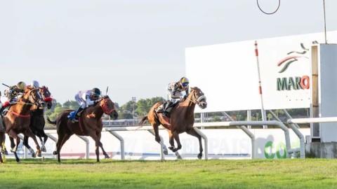 Uruguay: Apuestas hípicas superan los US$ 8,7 millones en el primer trimestre de 2026