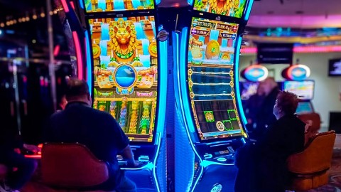 Zitro's Fantasy arrives at Bingo Moreno