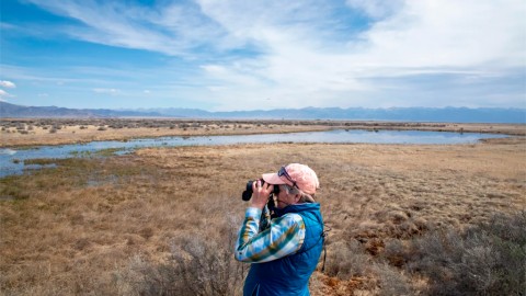 Colorado Sports Betting Hits Record $6.4 B, Fueling Water Conservation