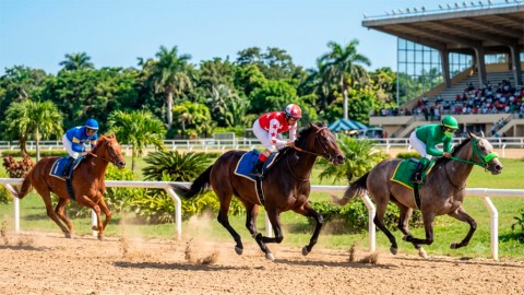 República Dominicana: Comisión Hípica niega irregularidades y denuncia apuestas ilegales