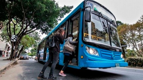 Rosario prohíbe la publicidad de juegos de azar y apuestas en el transporte y la vía pública